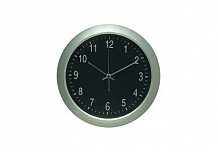 Изображение R02P SILVER