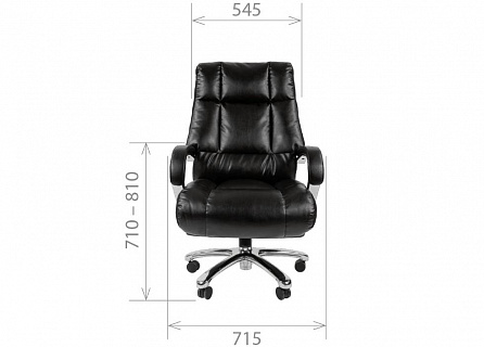 Фото Кресло руководителя CHAIRMAN 405 ECO топ-ган, до 250 кг, синтепух, экокожа 4